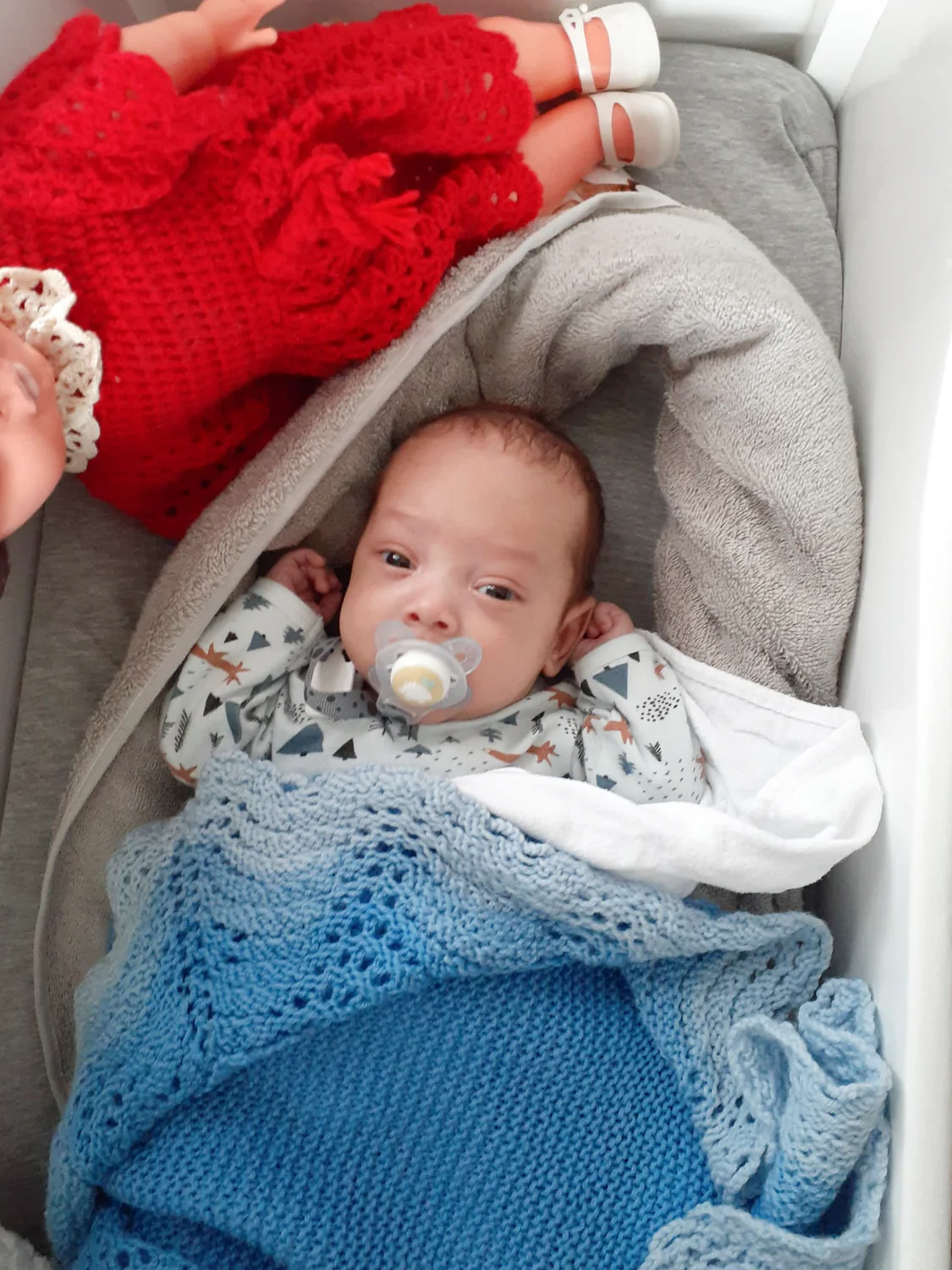 Ingen er ansvarlig for Sebastians død